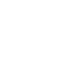 Koala logo