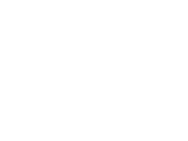 Shaver Shop logo