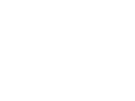 THE ICONIC logo