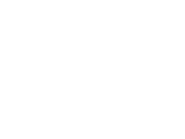 Vistaprint logo