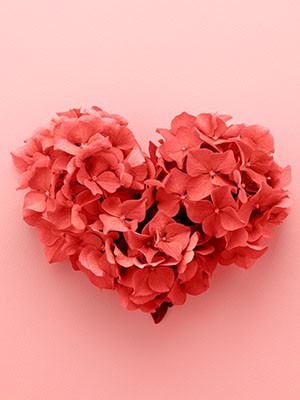 Valentine’s Day